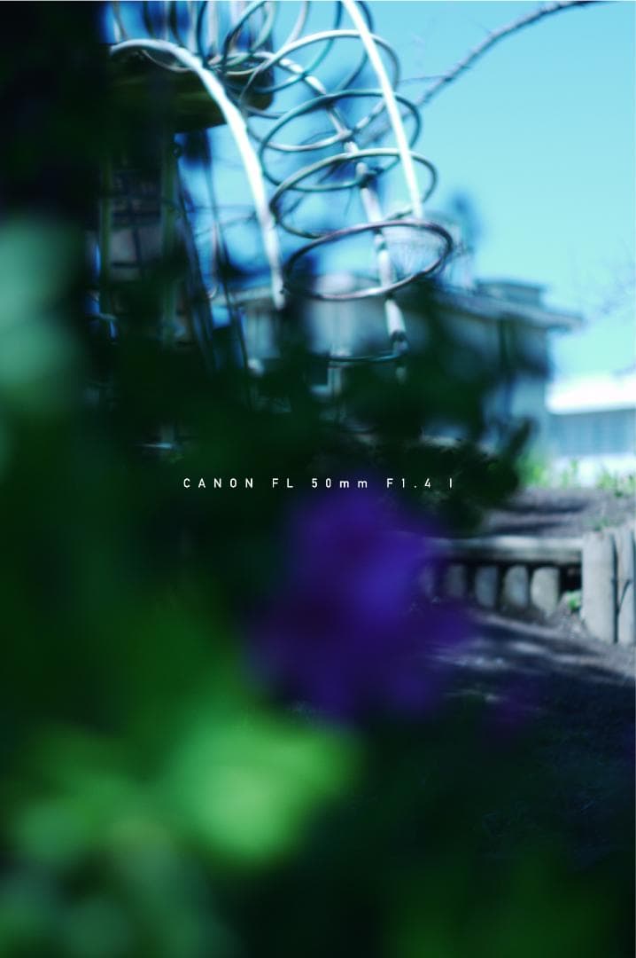 ★美品★ キャノン CANON FL 50mm F1.4 I 単焦点レンズ