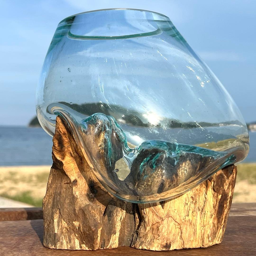 流木ガラス オブジェ中S 花瓶 金魚鉢 ガーデニング テラリウム 観賞魚 容器