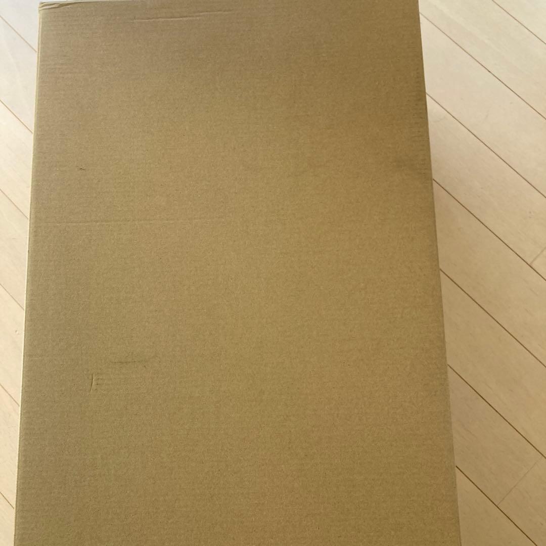 新品未使用未開封Dyson V12 Detect Slim Absolute