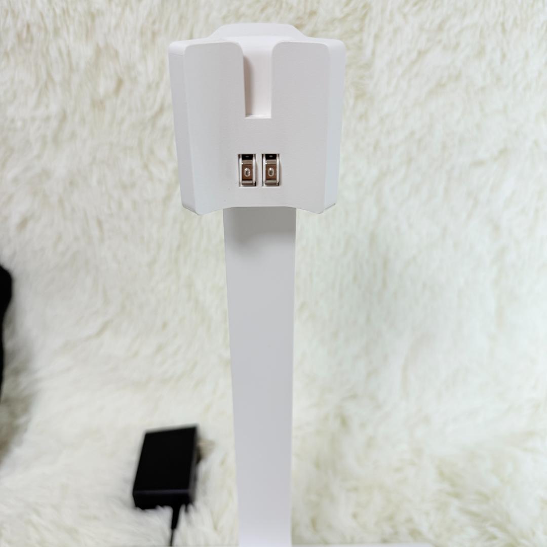 【2022年製】BALMUDA The Cleaner Lite CO2A-WH