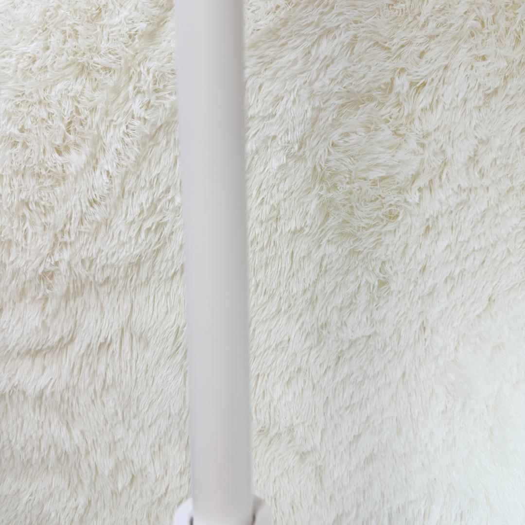 【2022年製】BALMUDA The Cleaner Lite CO2A-WH