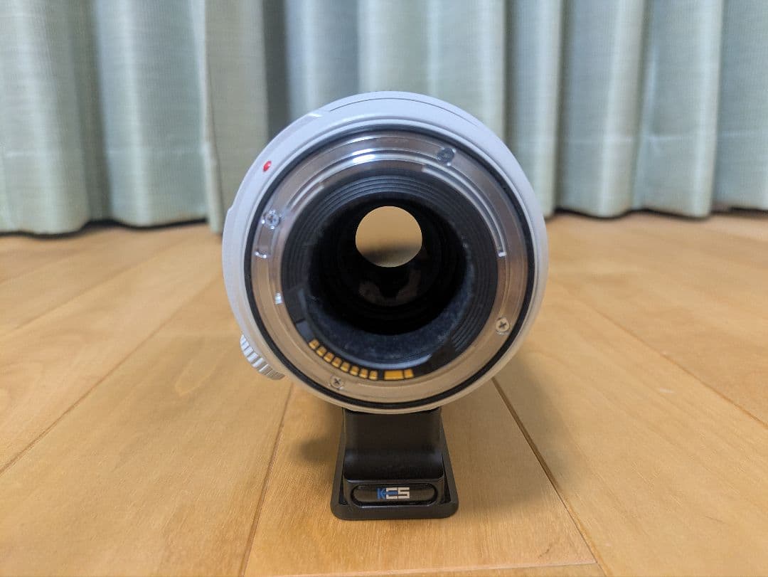 プロフ必読 EF100-400mm F4.5-5.6L IS II