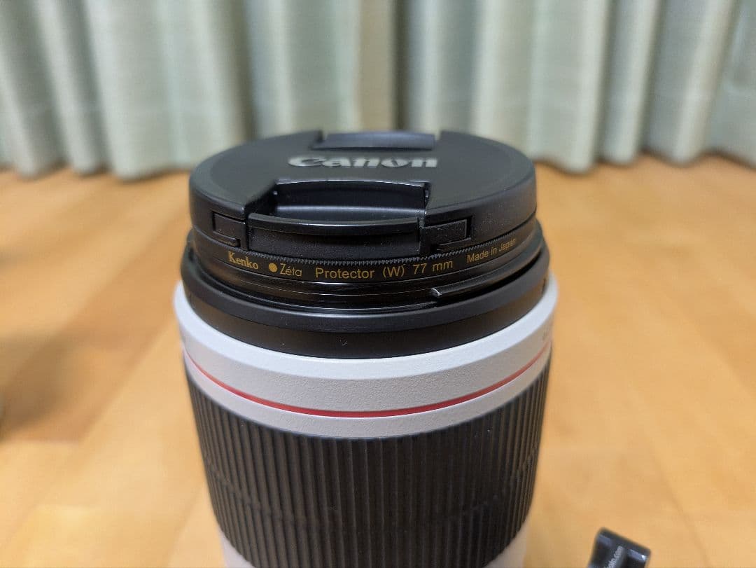 プロフ必読 EF100-400mm F4.5-5.6L IS II