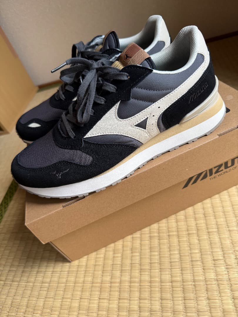 シューズ MIZUNO RB87 27.0CM