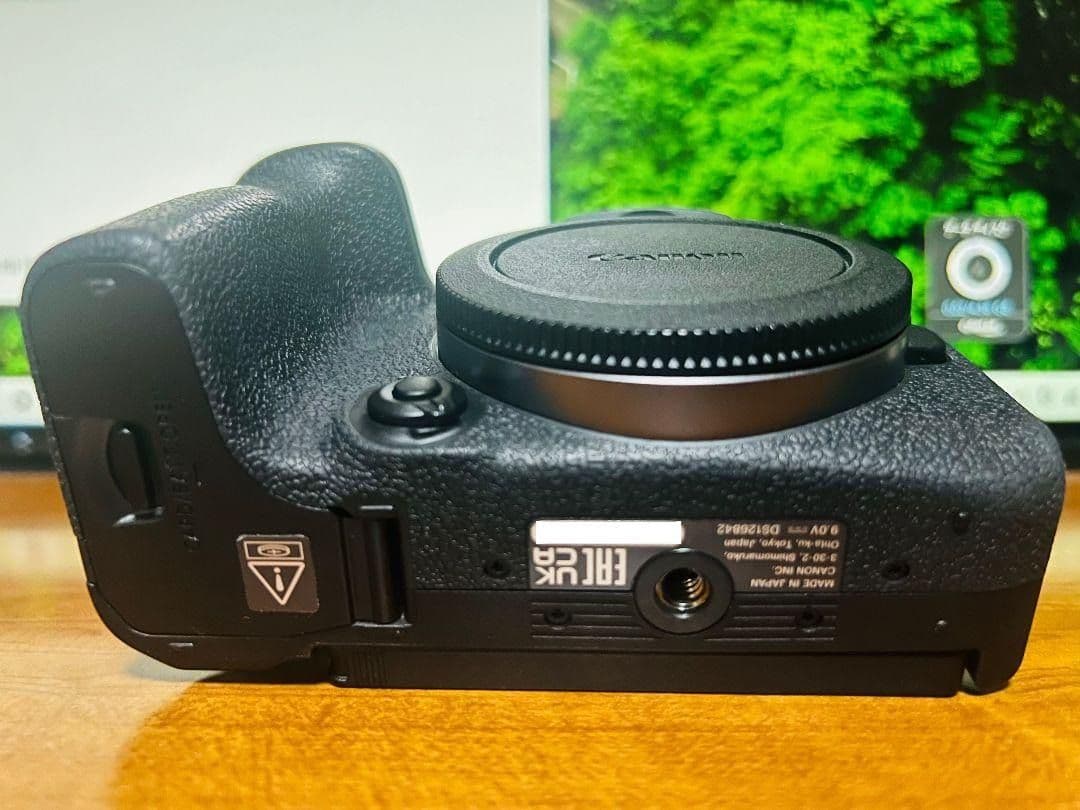 Canon EOS R10 ボディ　ケース付き