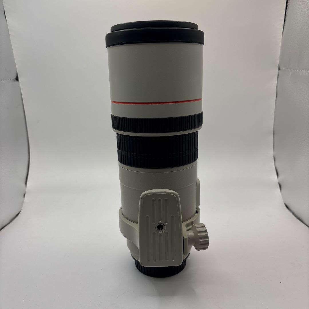 レンズ(単焦点) Canon EF 300mm F4 L IS