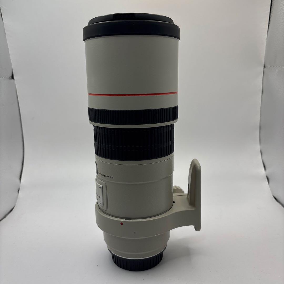 レンズ(単焦点) Canon EF 300mm F4 L IS