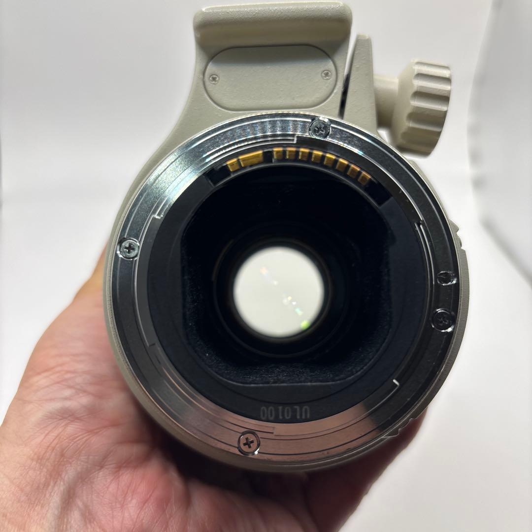 レンズ(単焦点) Canon EF 300mm F4 L IS