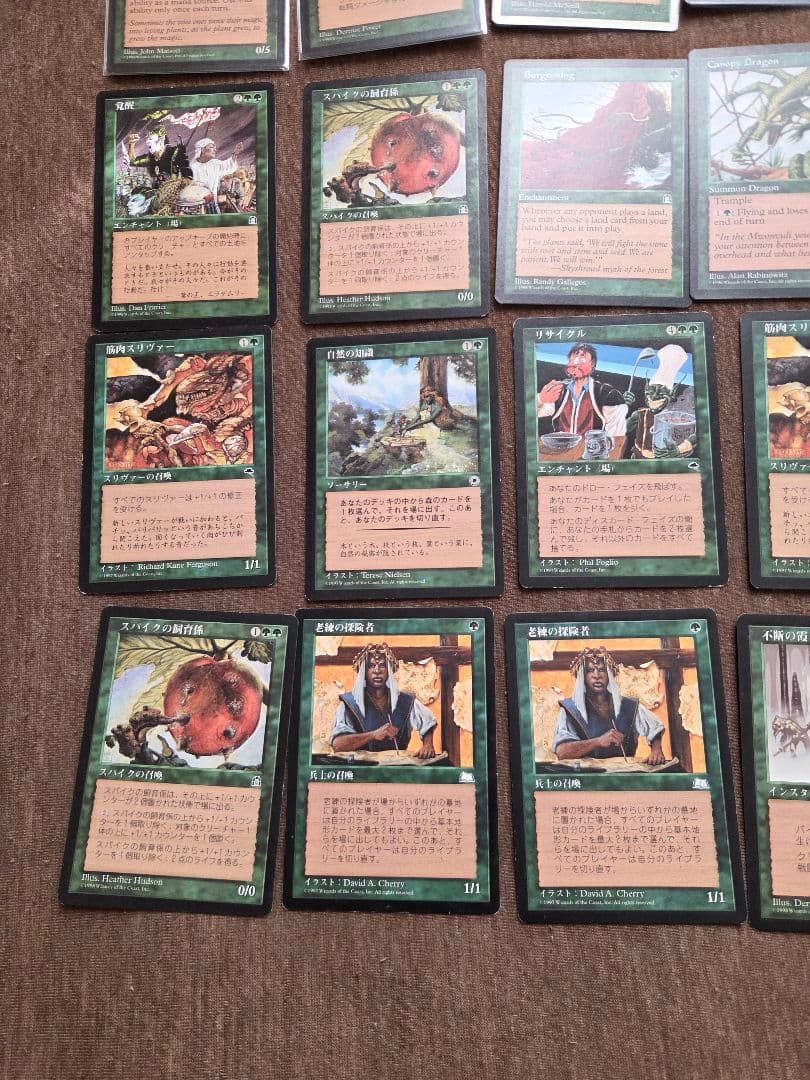 マジック：ザ・ギャザリング 緑のカード２４枚セット　MTG
