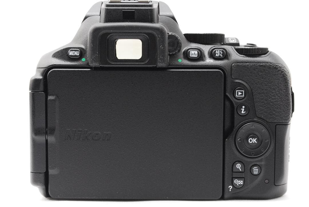 ショット数1949回✨美品Bluetooth搭載✨Nikon D5600 ダブル