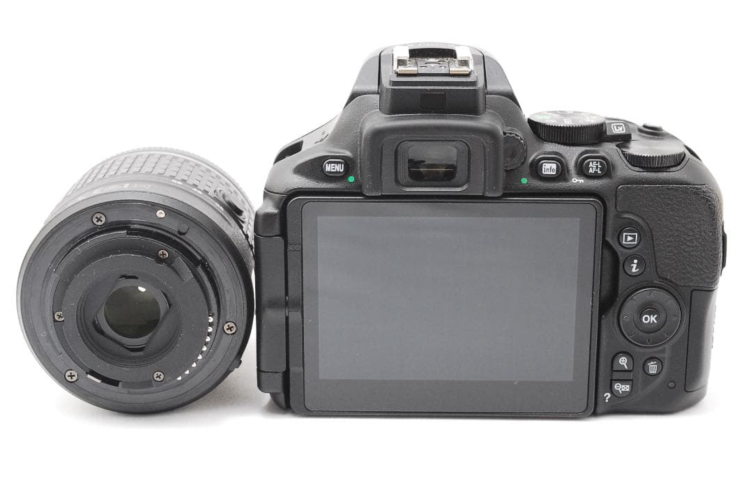 ショット数1949回✨美品Bluetooth搭載✨Nikon D5600 ダブル