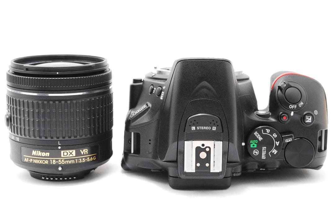 ショット数1949回✨美品Bluetooth搭載✨Nikon D5600 ダブル