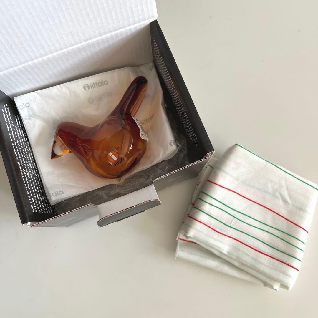 【廃盤品】2015年スコープ別注★イッタ／Sieppo・シエッポ