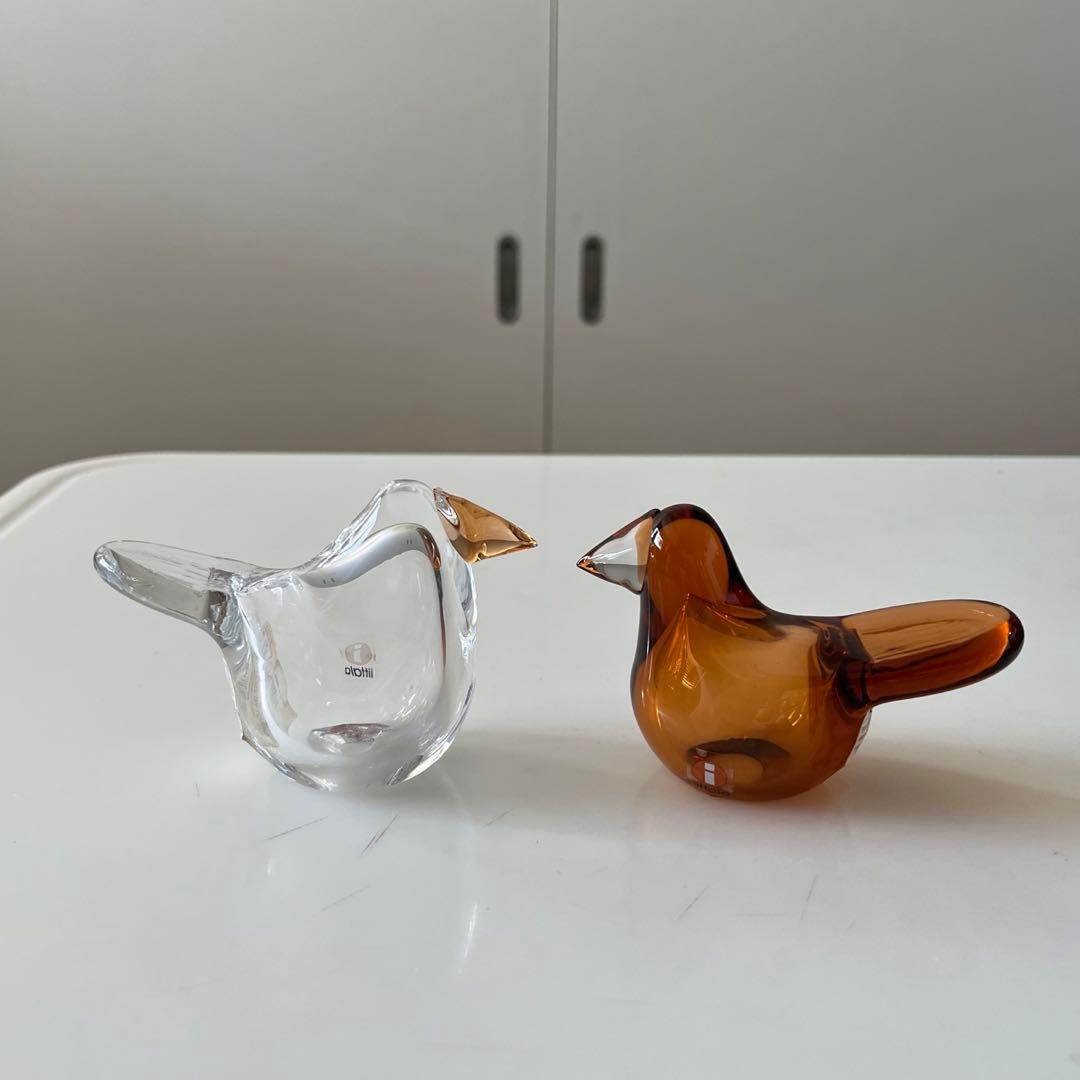 【廃盤品】2015年スコープ別注★イッタ／Sieppo・シエッポ