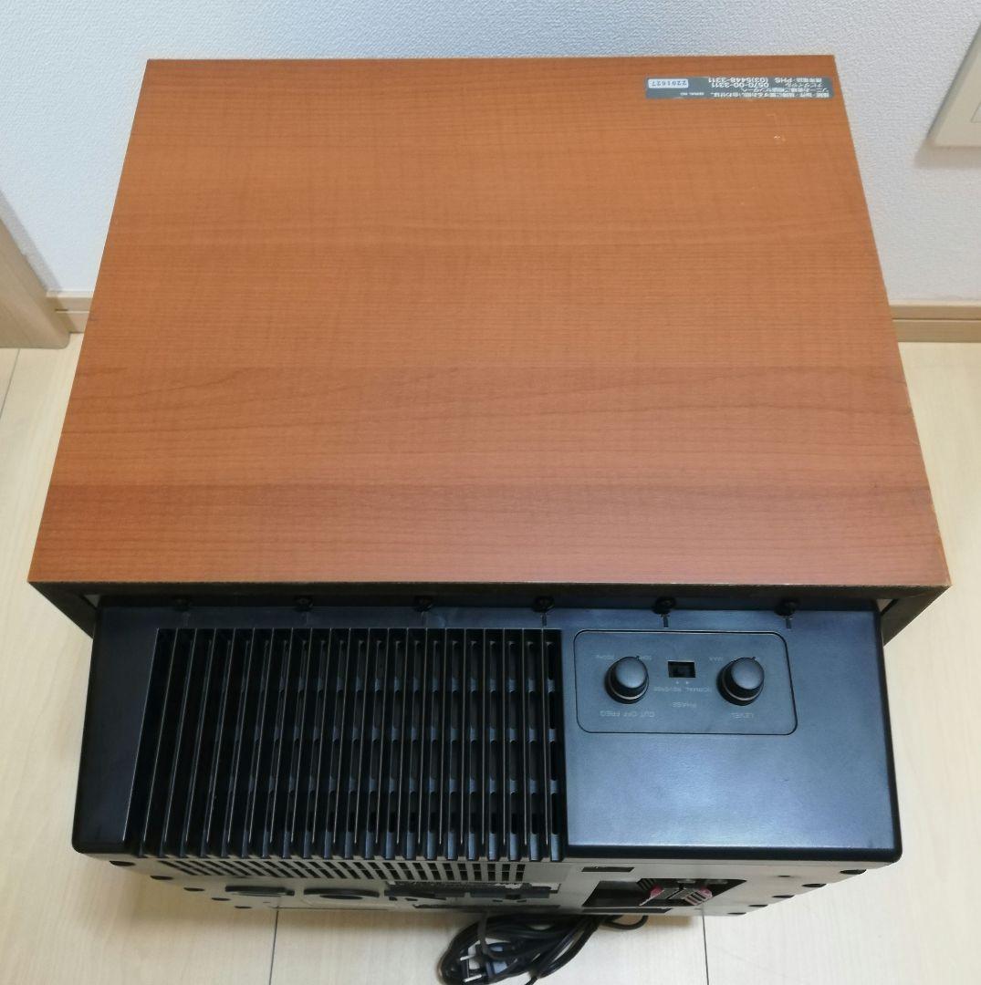 SONY アクティブ サブウーファー SA-WM500