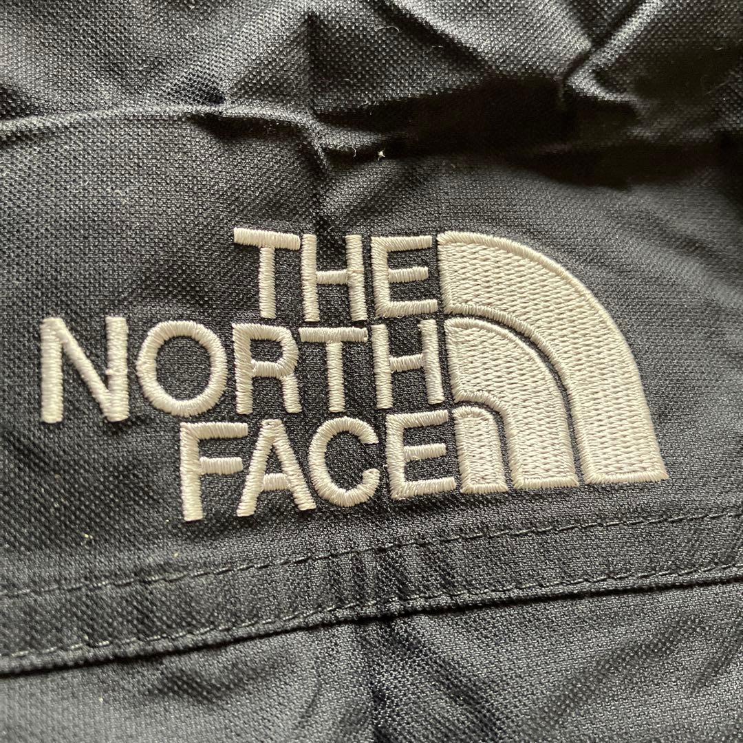 THE NORTH FACE HyVent ダウンジャケットファー 総柄裏地 L