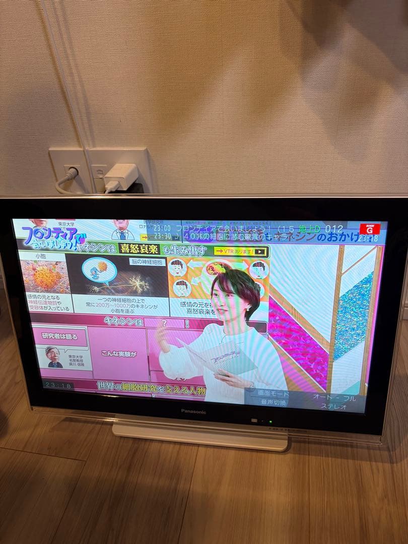 【美品】Panasonic　ビエラ　SV-PT19S1　１９インチ　液晶テレビ