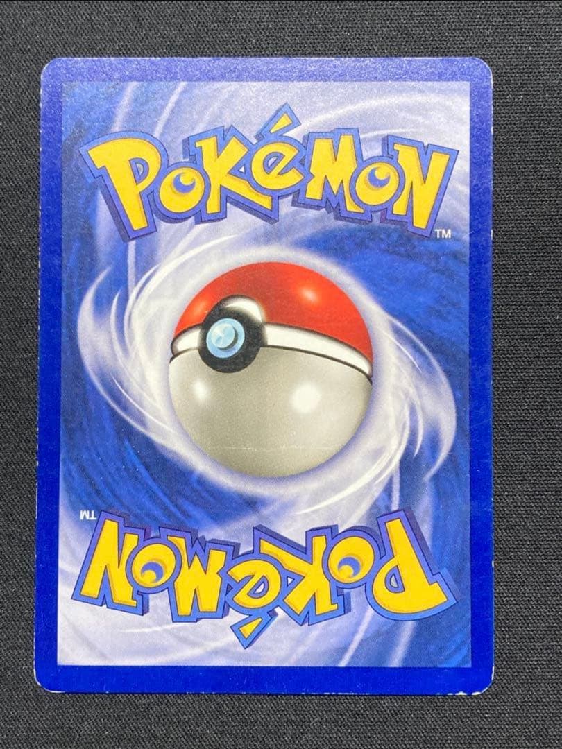 ピカチュウ かじる　エラー