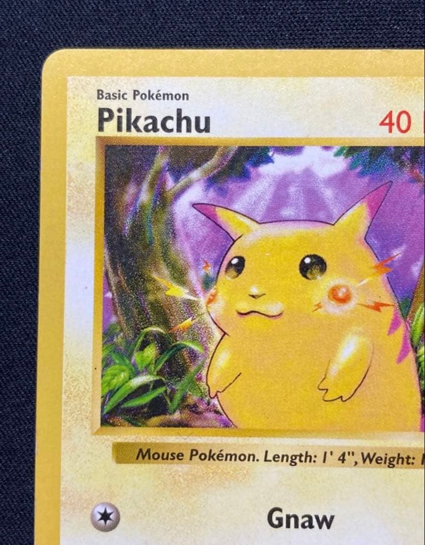 ピカチュウ かじる　エラー