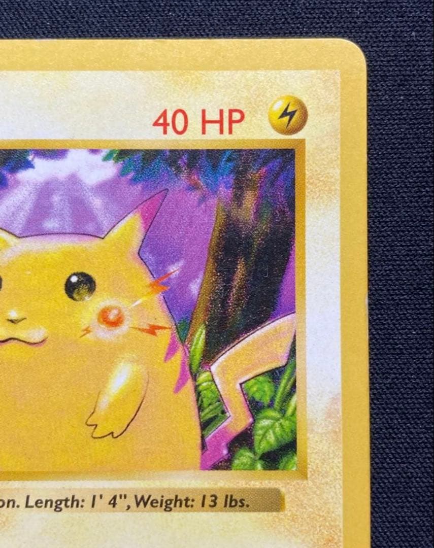 ピカチュウ かじる　エラー