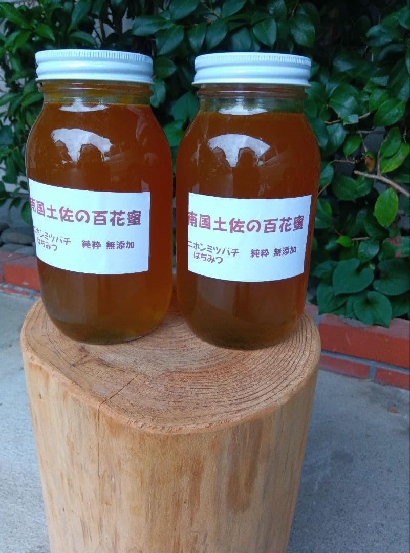 南国土佐の百花蜜　ニホンミツバチはちみつ　無添加　無加工　1200g✕2本