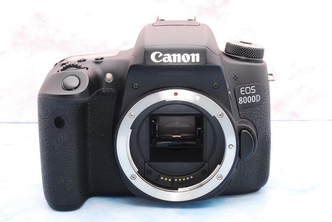 ☆Wi-Fi搭載☆Canon EOS 8000D☆Wレンズ☆一眼レフカメラ