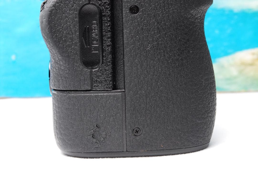 Nikon Z6 ミラーレス一眼カメラ 本体