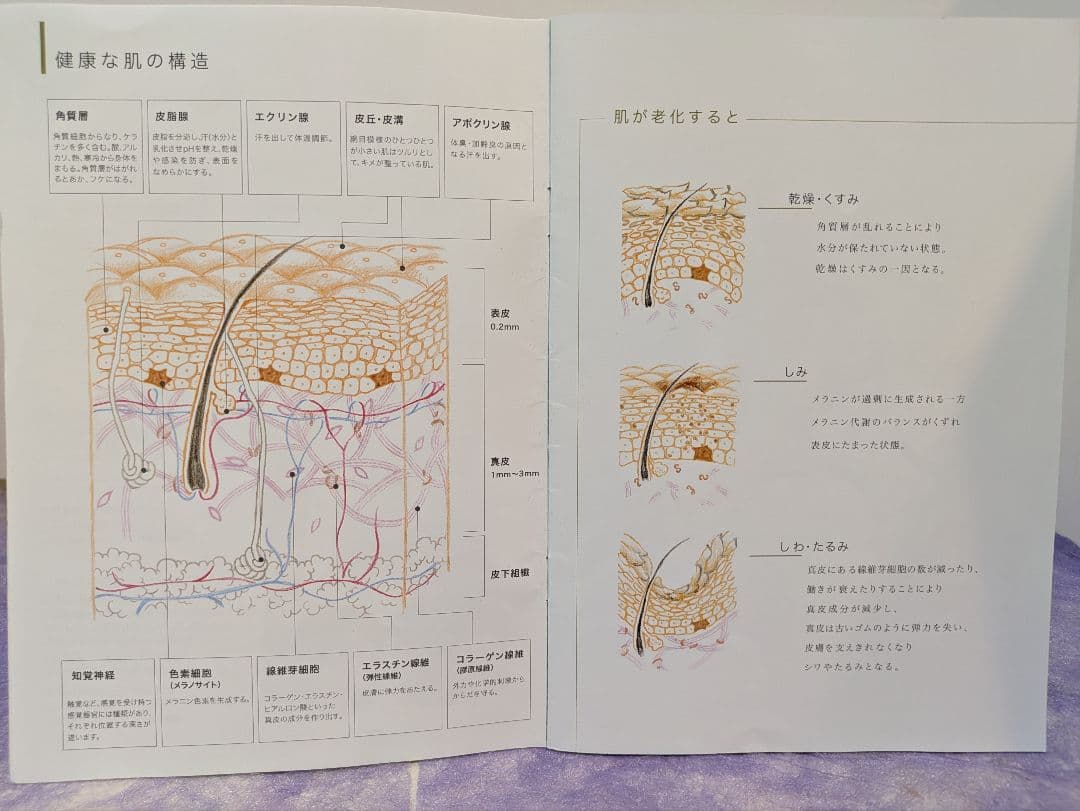ビオドラガ　クレンジングオイル　2本　エアステリニエムースウォッシュ　2本