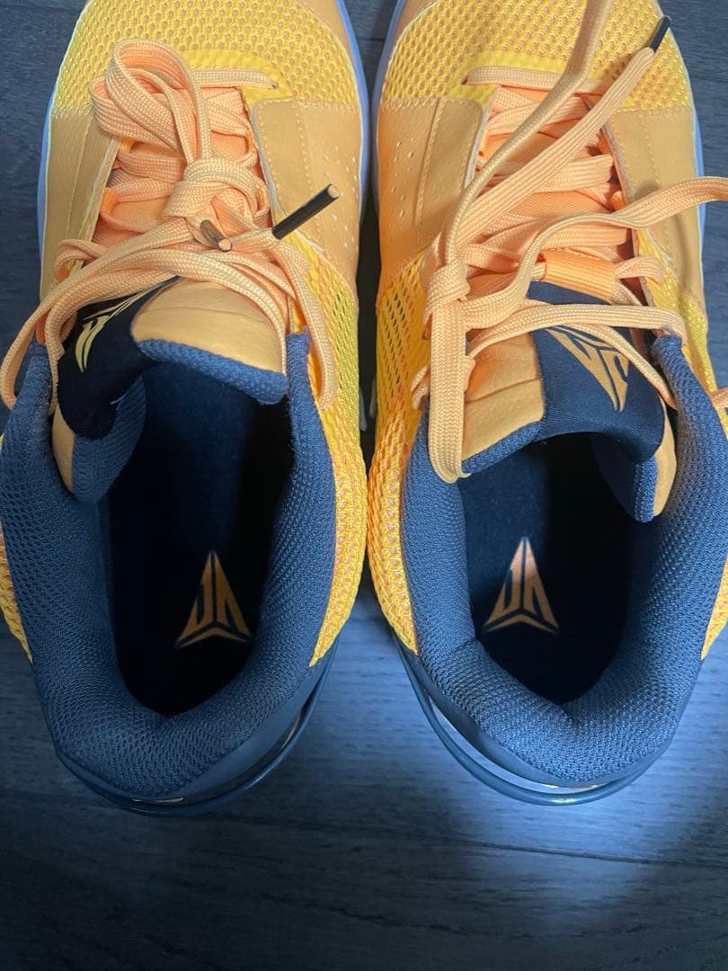 【箱アリ】 Nike JA1 Wet Cement