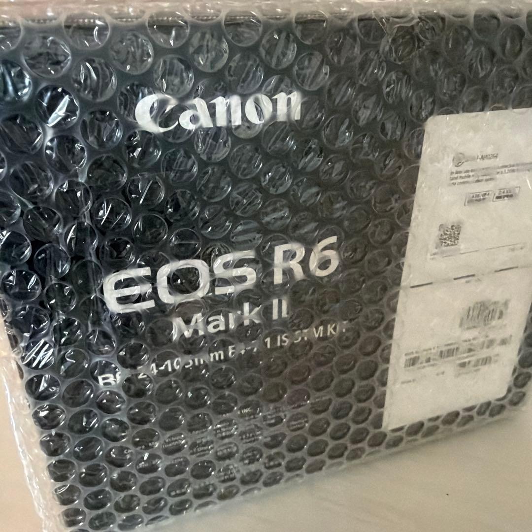 Canon EOS R6 Mark II 本体 + レンズ