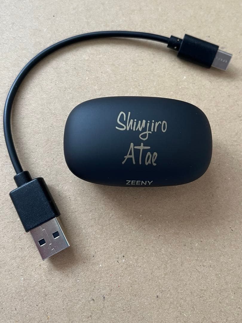 非売品 AAA 與真司郎 Zeeny Lights 2 イヤホン