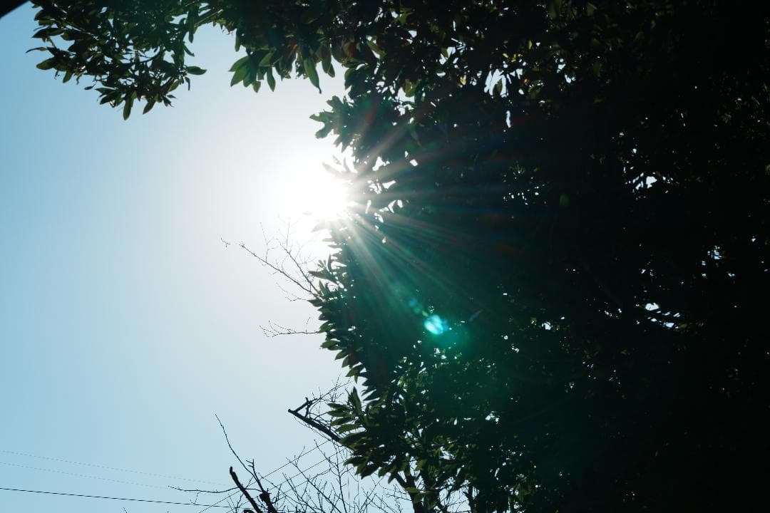 【軽い】美品 SONY SEL70200G ソニー望遠Gレンズ 三脚座完備