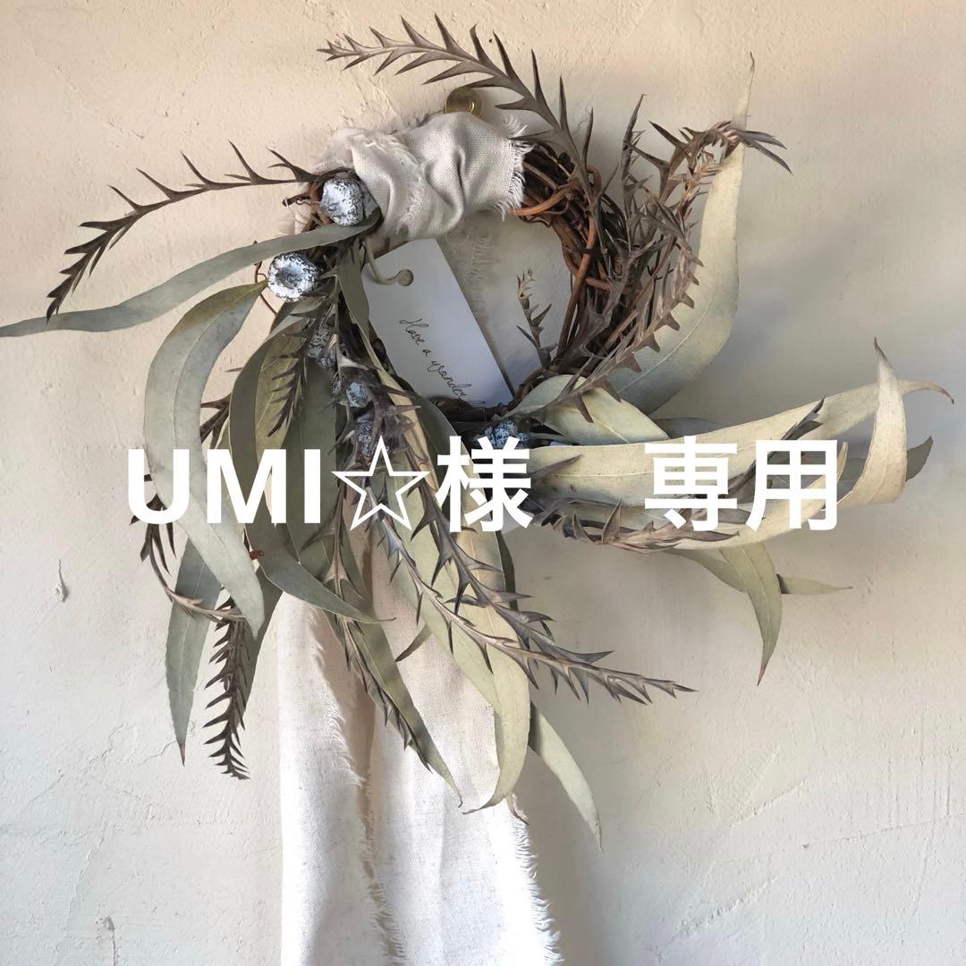 UMI☆　ライトグリーンxs サイズ