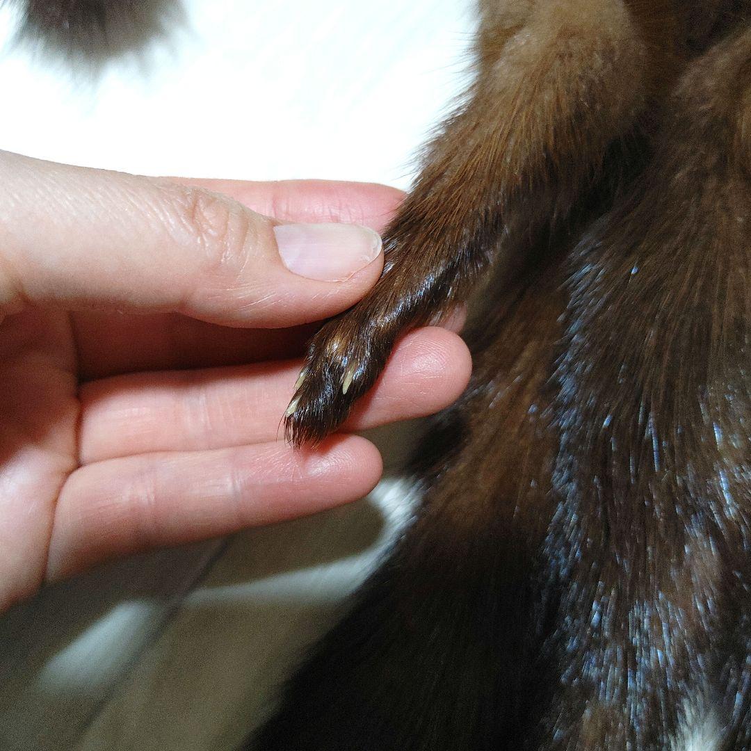 デミバフ ミンクファー ロングマフラー 足付き しっぽ付き フランス Paris