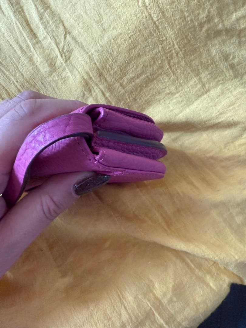 DELVAAUX デルヴォー　ピンクレザー ケース