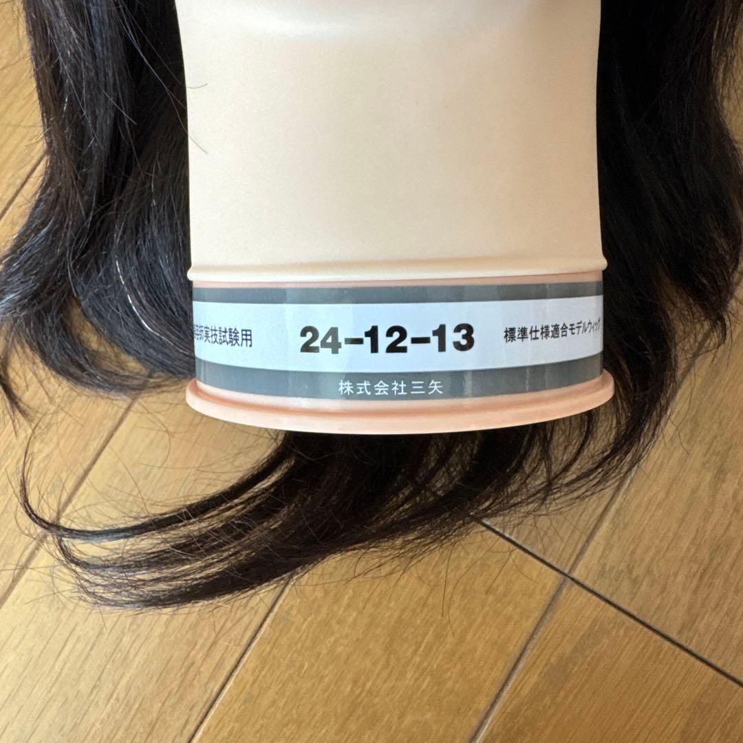 新品国試用カットウィッグ　2個