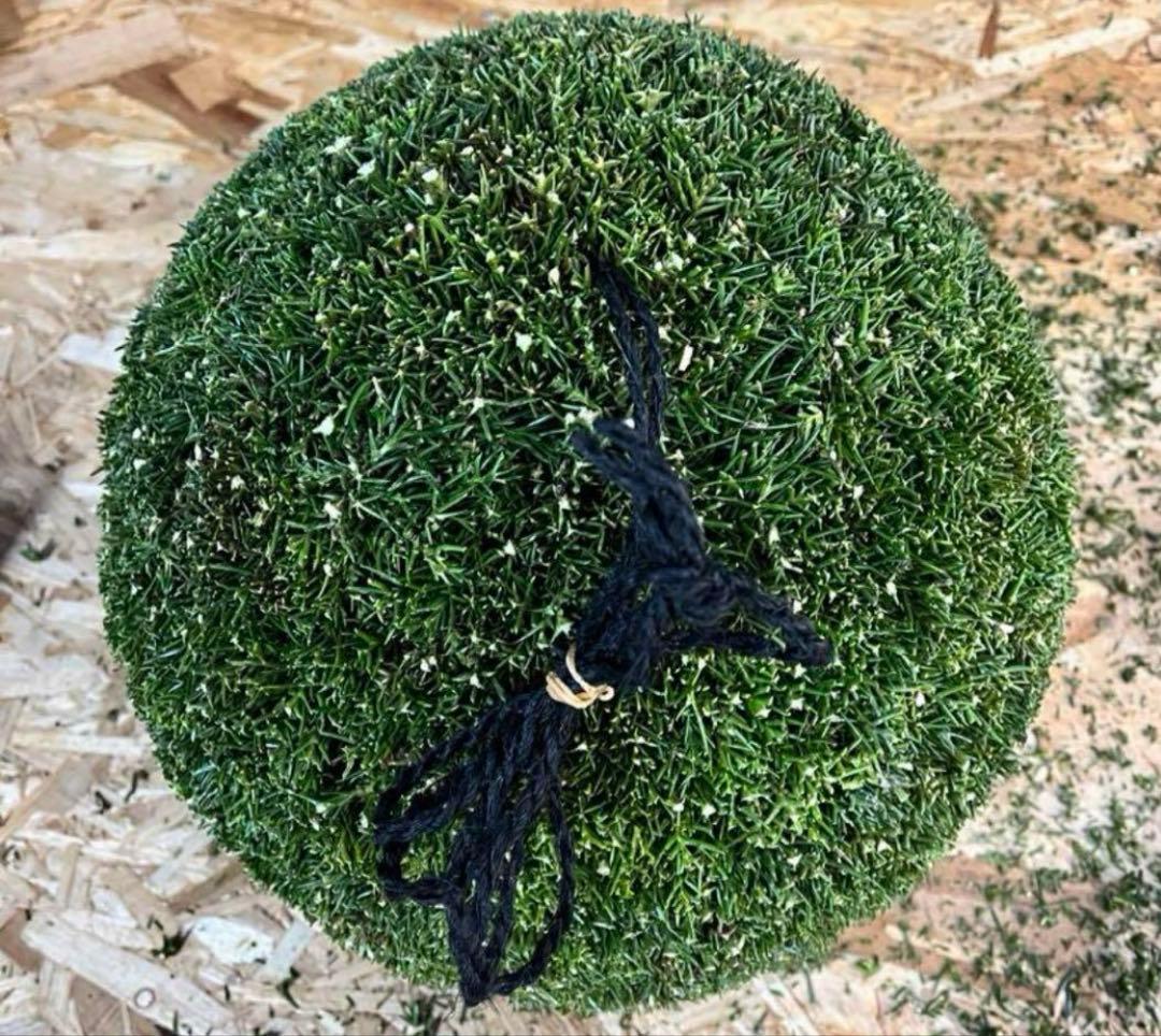 杉玉　約30センチ　ワイヤーで ‼️お客様ご注文品♪