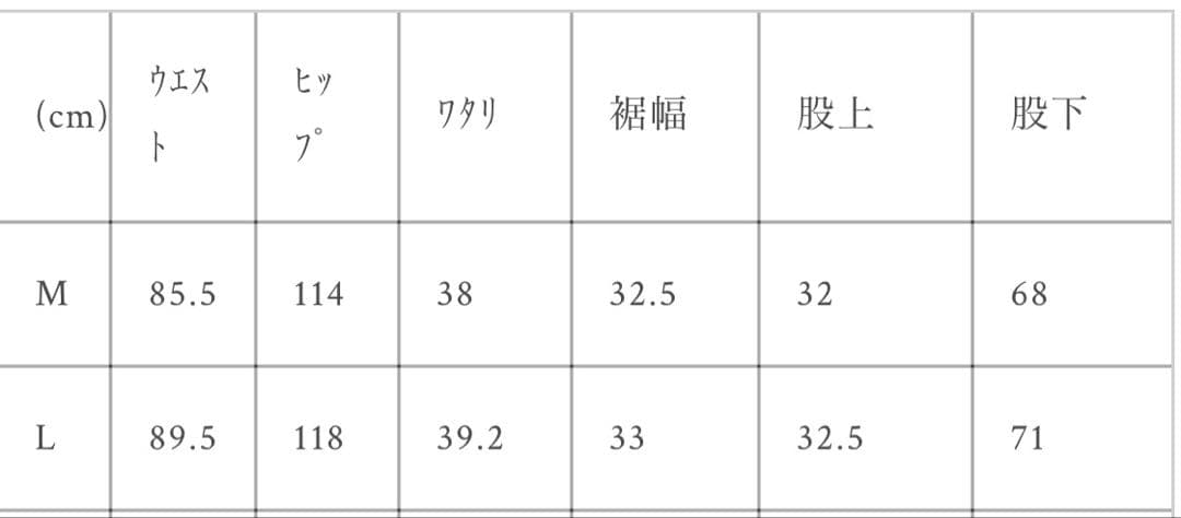 BELVET リジットデニム　ブラック　Lサイズ