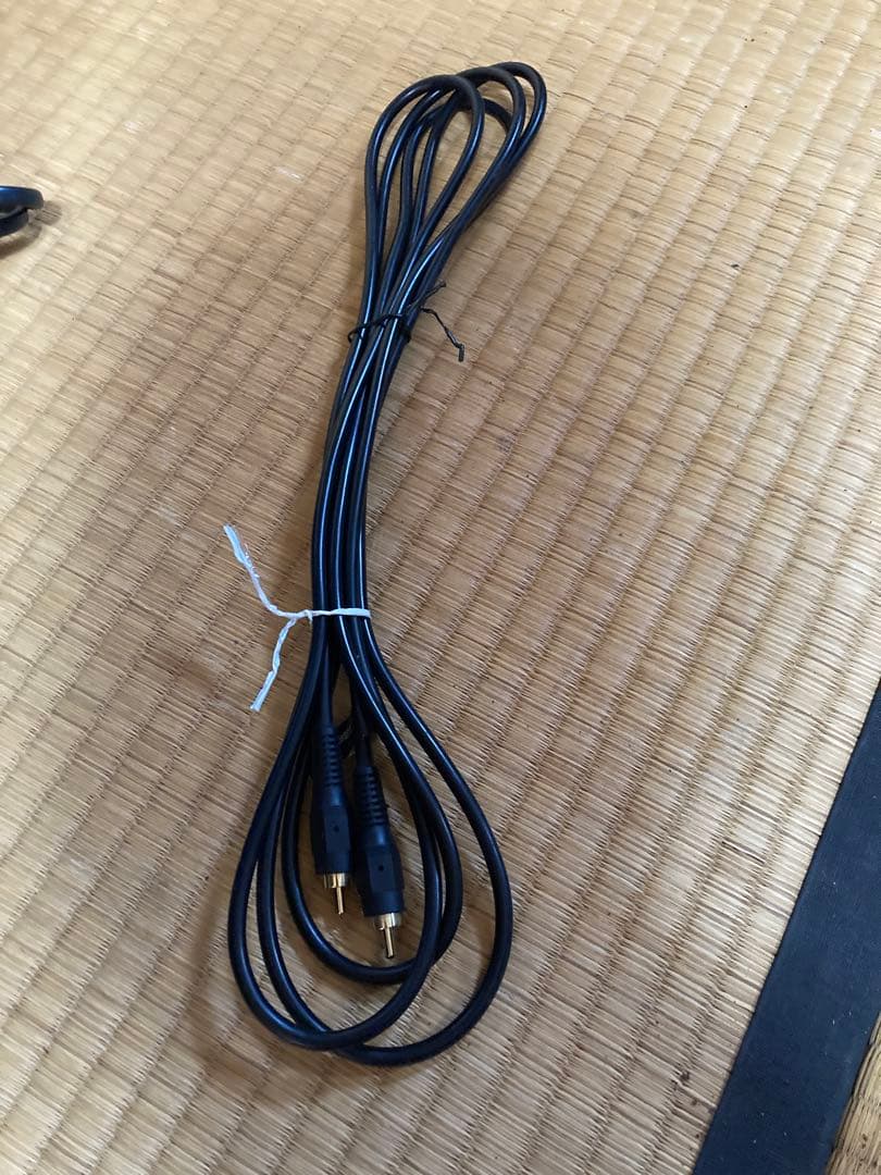 DENON デノン DSW-300SG ブラック サブウーファー