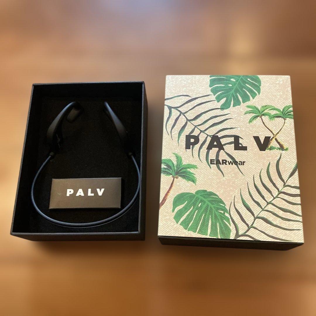 PALV 骨伝導イヤホン 専用ケース付き