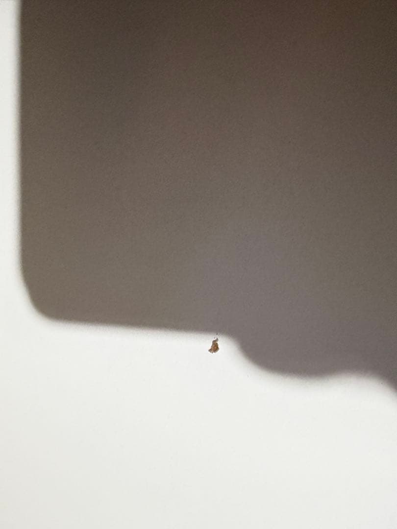 2023年製 奈良発 ニトリ 食器棚 120幅 キッチン レンジ ボード 家電