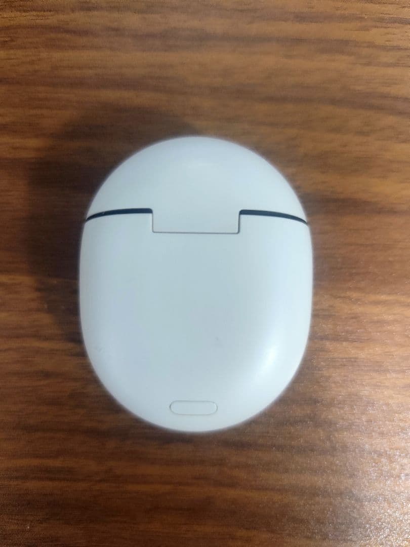 Google Pixel Buds Pro 2 Hazel 完品