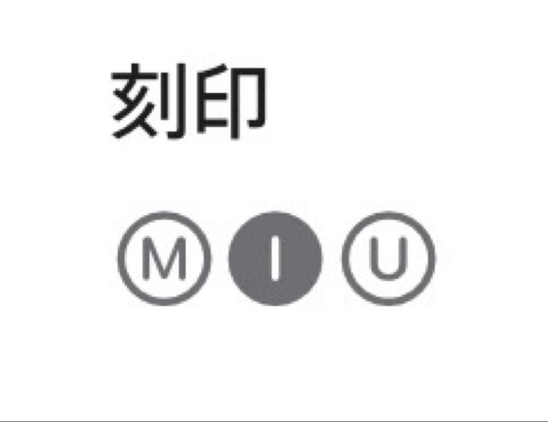 Apple Pencil Pro 美品　刻印あり