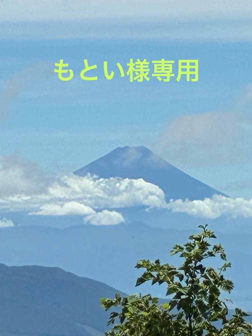 辰巳9号サイズ、耐熱ファイバープラスアレンジオーダーかつら 中古舞踊かつら