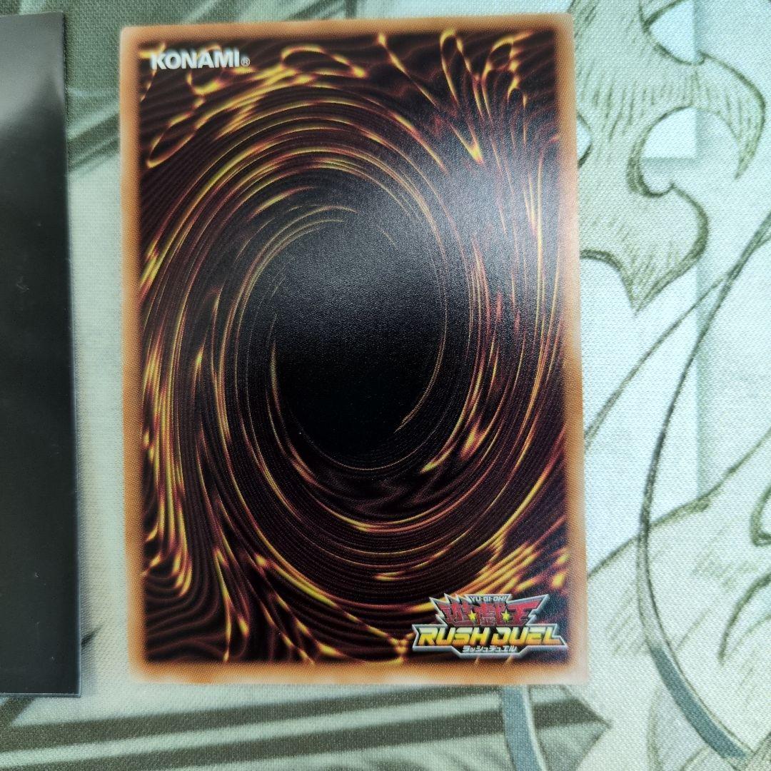 P•M レノアール　オーバーラッシュ　絵違い