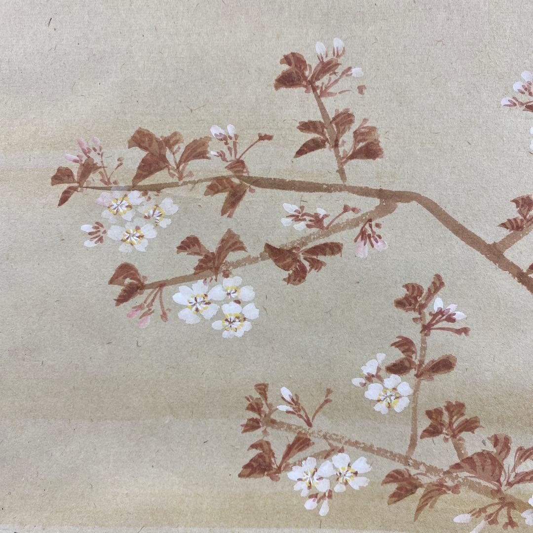美品 掛け軸 細合喝堂作 桜画賛「万里春」大徳寺塔頭龍源院 共箱 禅語 茶掛け