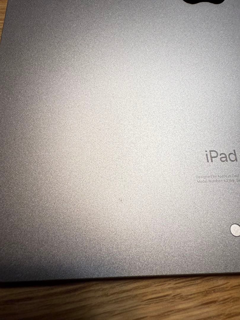 Apple 11インチiPad Pro (第4世代)スペースグレイ本体おまけ付き