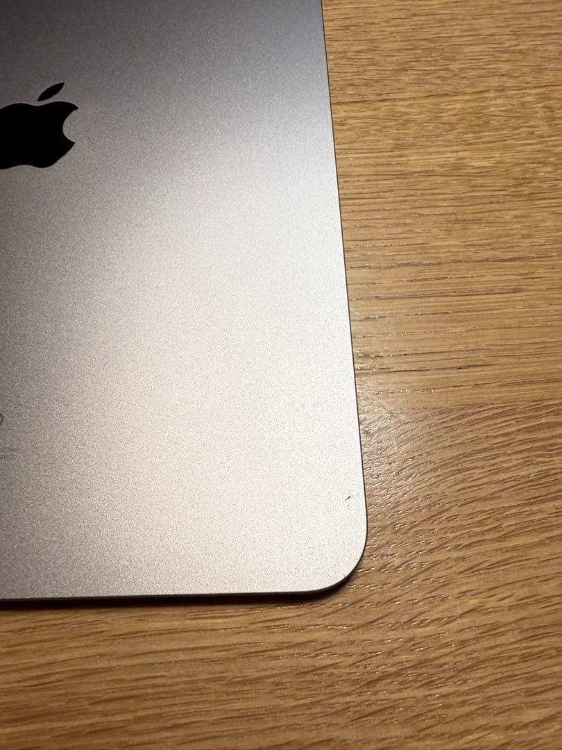 Apple 11インチiPad Pro (第4世代)スペースグレイ本体おまけ付き