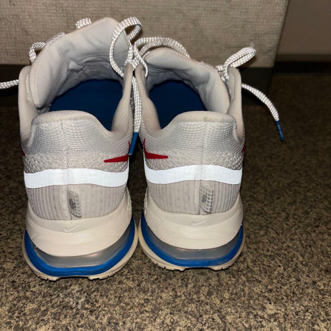 ナイキペガサスプレミアム ジョーダン3