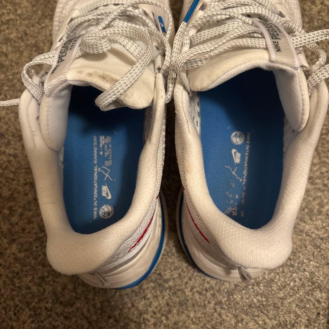 ナイキペガサスプレミアム ジョーダン3